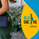 Blucactus Colombia - ¿Cuál es la estrategia de marketing de Cole Haan? - portada