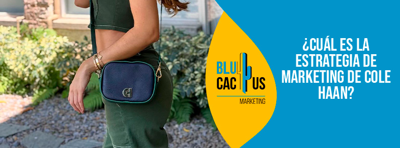Blucactus-Cu+íl es la estrategia de marketing de Cole Haan-portada Blucactus Colombia - ¿Cuál es la estrategia de marketing de Cole Haan? - portada