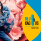 Blucactus Colombia - ¿Cuál es la estrategia de marketing de Stradivarius? - portada