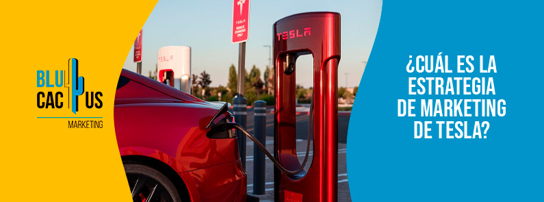 Blucactus-Cu+íl es la estrategia de marketing de Tesla-portada Blucactus Colombia - ¿Cuál es la estrategia de marketing de Tesla? - portada