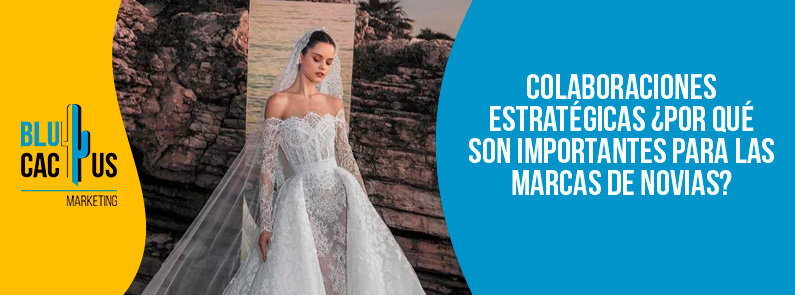 Blucactus-Colaboraciones estratégicas Por qué son importantes para las marcas de novias-portada