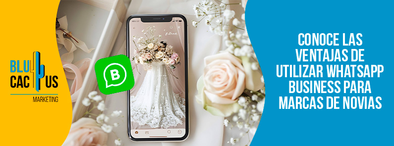 Blucactus-Conoce las ventajas de utilizar WhatsApp Business para marcas de novias-portada