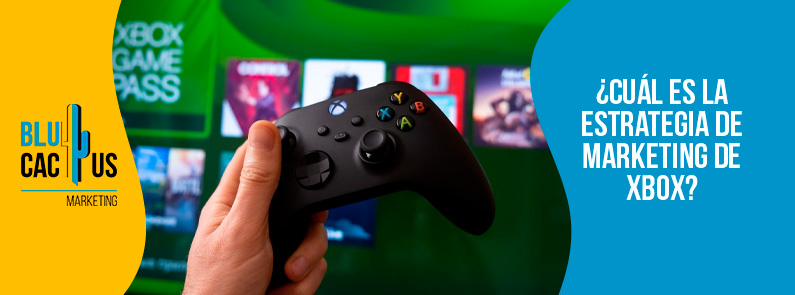 Blucactus-Cuál es la estrategia de marketing de xbox-portada