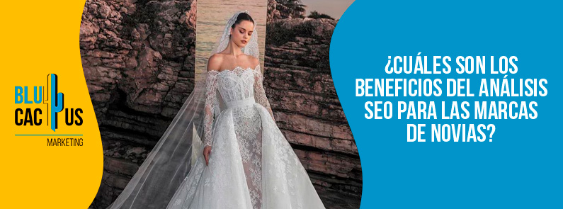 Blucactus-Cuáles son los beneficios del análisis SEO para las marcas de novias-portada