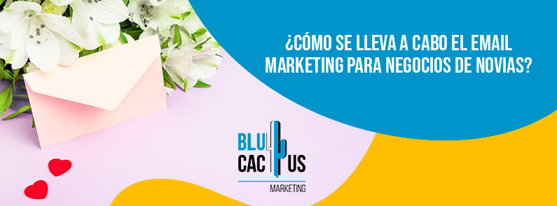 Blucactus-Cómo se lleva a cabo el email marketing para negocios de novias-portada