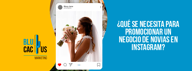 Blucactus-Qué se necesita para promocionar un negocio de novias en Instagram -portada
