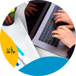 Blucactus Colombia - optimizar sitio web empresa de logística