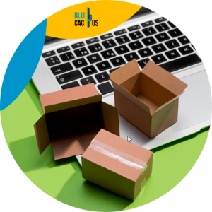 Blucactus Colombia - optimizar sitio web empresa de logística - importancia optimizacion sitio web