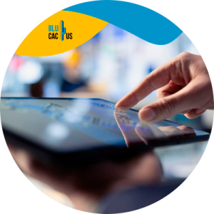 Blucactus - presencia digital empresa de logística