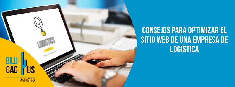 Blucactus Colombia - optimizar sitio web empresa de logística - banner