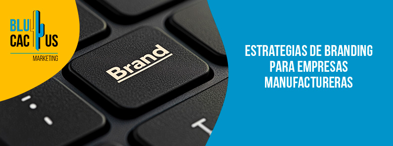 Blucactus-Estrategias de branding para empresas manufactureras-portada Blucactus - identidad visual - banner