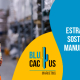 Blucactus - marketing sostenible sector manufacturero - banner