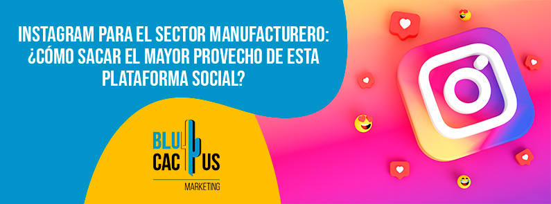 Blucactus-Instagram para el sector manufacturero-portada Blucactus - Instagram sector manufacturero - banner