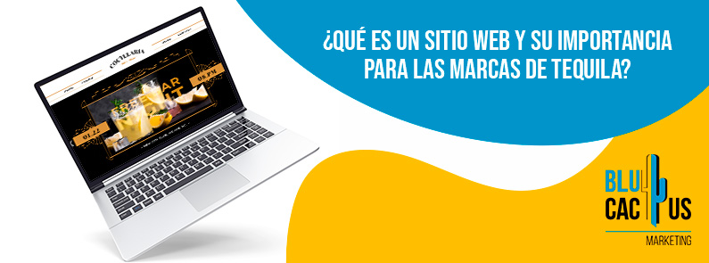 Blucactus - sitio web importancia marcas de tequila - banner