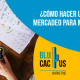 Blucactus - Presupuesto de mercadeo para mi marca de tequila en Colombia - banner