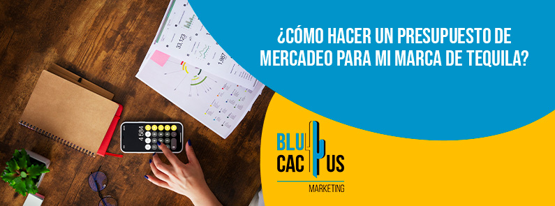 Blucactus-Cómo hacer un presupuesto de mercadeo para mi marca de tequila-portada Blucactus - Presupuesto de mercadeo para mi marca de tequila en Colombia - banner