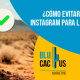 Blucactus - shadowban Instagram marcas de mezcal - banner