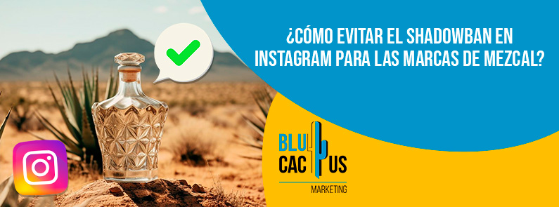 Blucactus - shadowban Instagram marcas de mezcal - banner