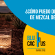 Blucactus - marca de mezcal - banner