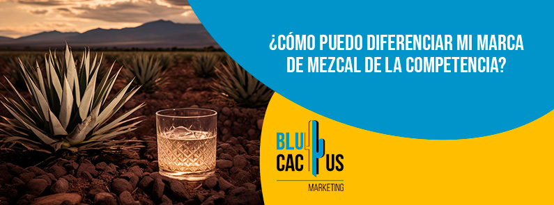 Blucactus - marca de mezcal - banner