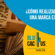 Blucactus - lanzamiento marca de mezcal - banner