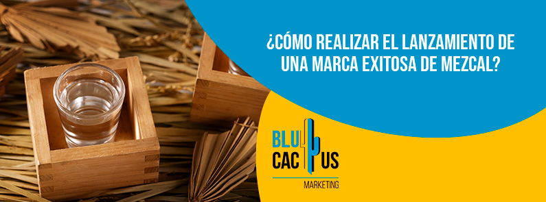 Blucactus - lanzamiento marca de mezcal - banner