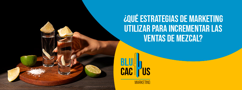 Blucactus - estrategias marketing incrementar ventas - banner