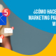 Blucactus - email marketing whisky - banner
