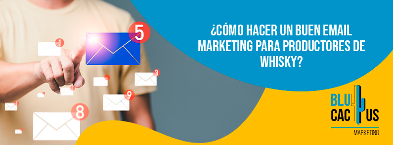 Blucactus - email marketing whisky - banner