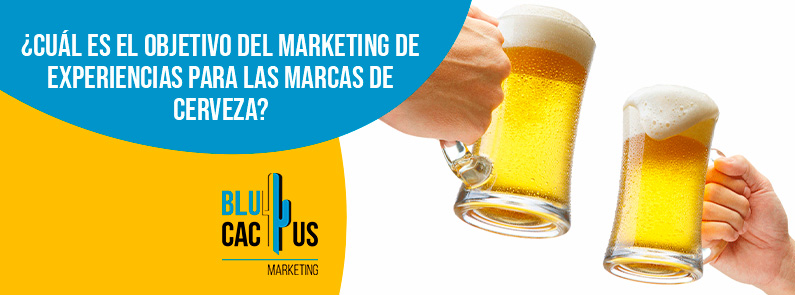 Blucactus - marketing de experiencias cerveza - banner
