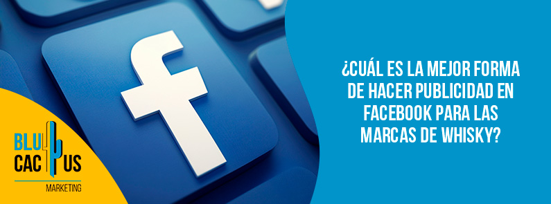 Blucactus-Cuál es la mejor forma de hacer publicidad en Facebook para las marcas de whisky-portada Blucactus - publicidad facebook marca de whisky - banner
